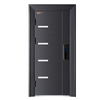 Modern Style Balck Steel Security Door 