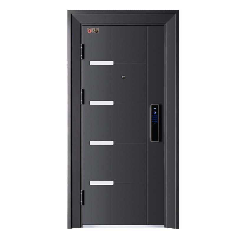 Modern Style Balck Steel Security Door 