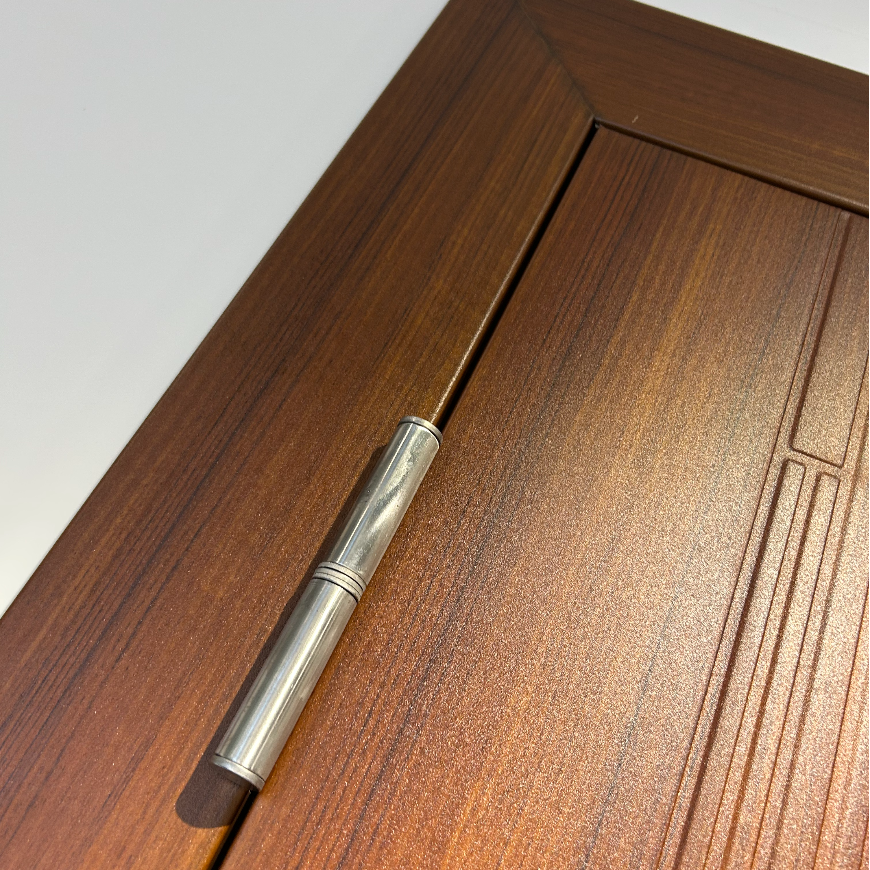 Customized Modern Pivot Exterior Steel Door Main Door for Luxury Apartment