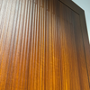 Customized Modern Pivot Exterior Steel Door Main Door for Luxury Apartment