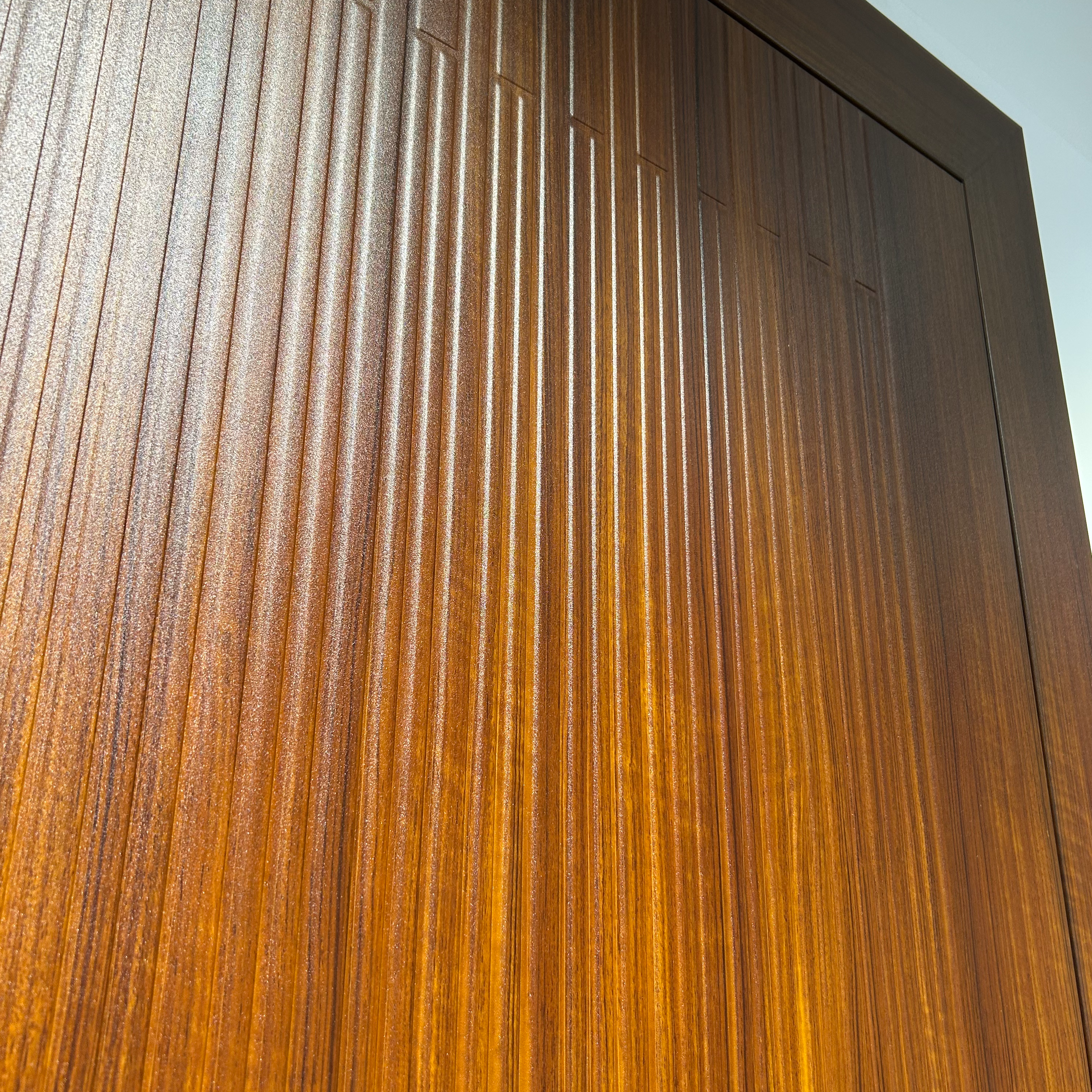 Customized Modern Pivot Exterior Steel Door Main Door for Luxury Apartment