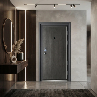 Premium Grade Security Door Manufacturer Delivering Robust Steel Door Systems with Advanced Locking Mechanisms