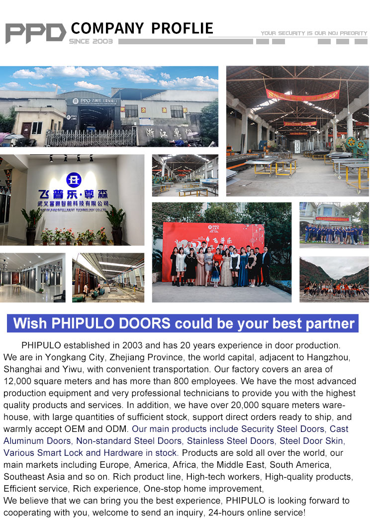 Steel security door (6)