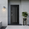 European Style Front Entrance Steel Door Luxury Security Door Steel for Home