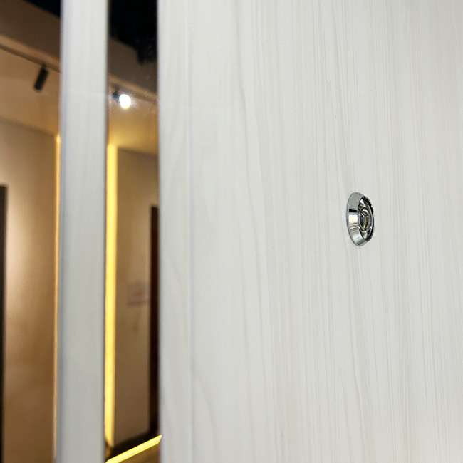 Modern High Security Anti-theft Steel Main Door for House