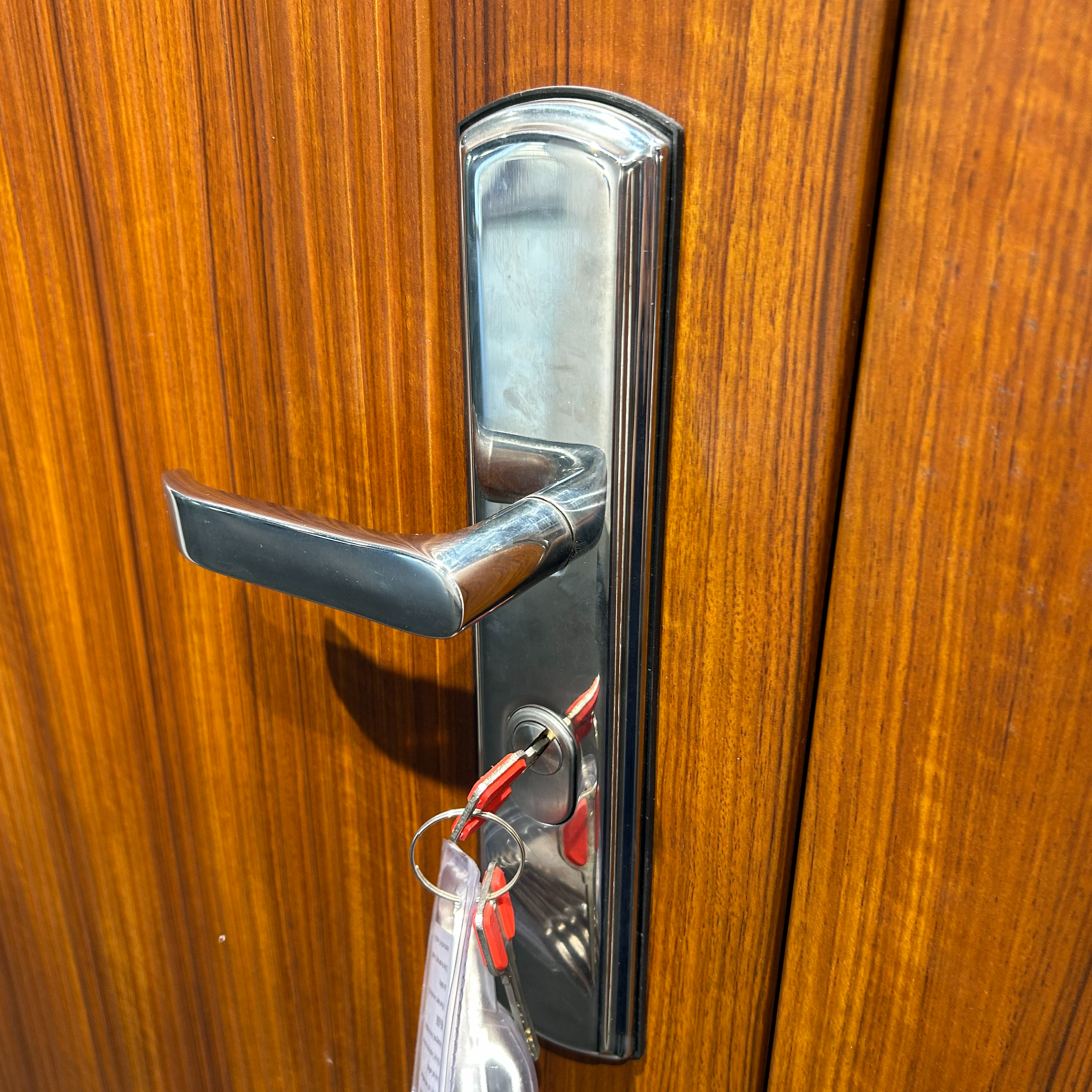 Customized Modern Pivot Exterior Steel Door Main Door for Luxury Apartment