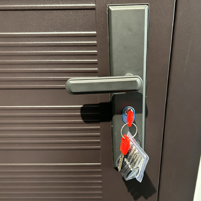 Durable Construction Steel Safety Door Quality Assured Single Door for Gate