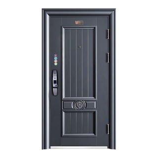 Modern New Design Steel Security Door 