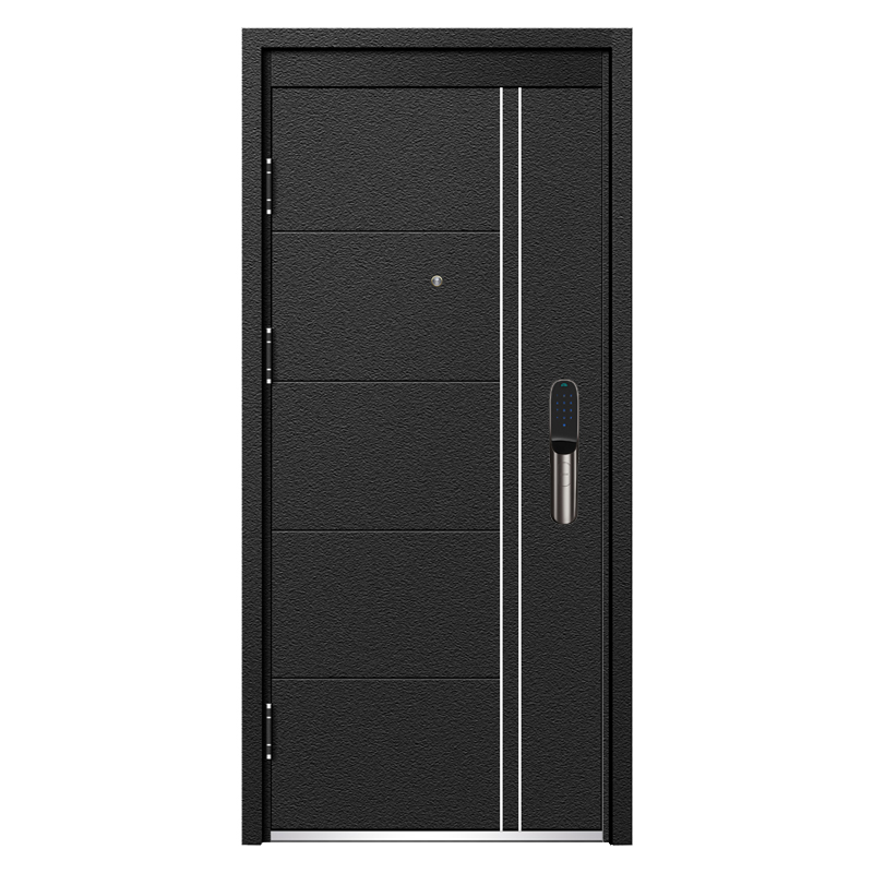Modern Apartment Black Steel Security Door 