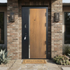 China Factory Hot Selling Russia Design Main Entrance Steel Door Multi Locks Russia Steel Door