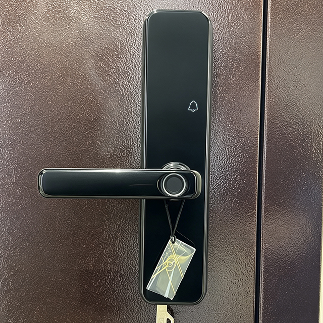Factory Modern Russia Security Heavy Duty Steel Door for Residential Homes and Building Project 