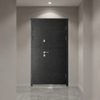 High-End Russia Security Door Solid Steel Construction Double Main Entry Door