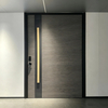 Modern Pivot Door Steel Entrance Door Manufacturer for Custom Residential and Commercial Projects