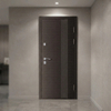 High Performance Russia Steel Door Secure Main Entry Heavy Duty and Durable Construction