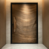 Custom Textured Aluminum Pivot Door with Art Gold Handle Intelligent Visual Smart Lock Premium Security Main Front Door for Luxury Villas