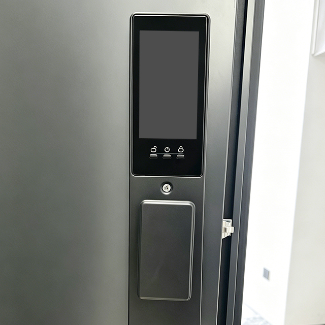 Factory Direct Sale Smart Security Steel Door Modern Design for Home