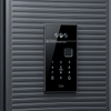 Factory Direct Sale Smart Security Steel Door Modern Design for Home