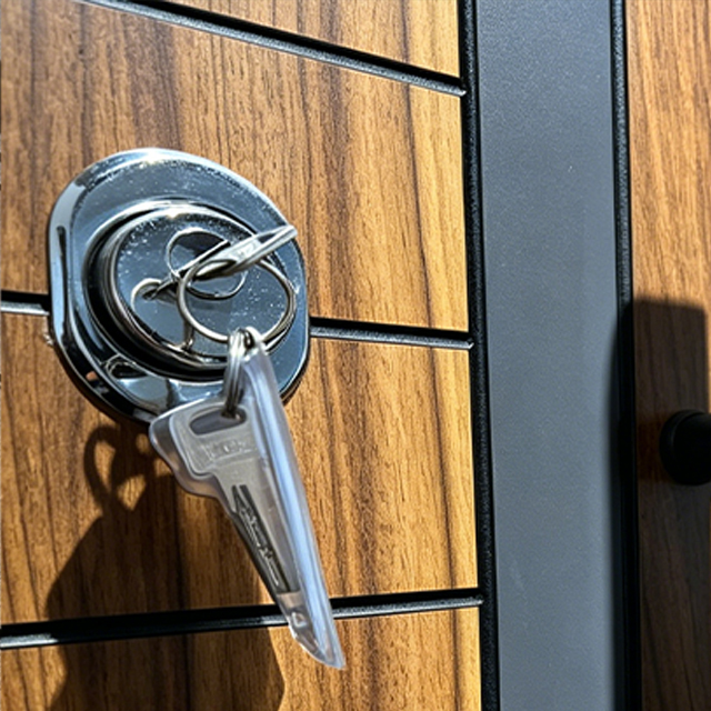 Premium Finish Anti-Prying Steel Security Door Exterior Entry Main Door for Home