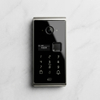 Security Steel Pivot Door With Smart Lock Exterior Entry Door